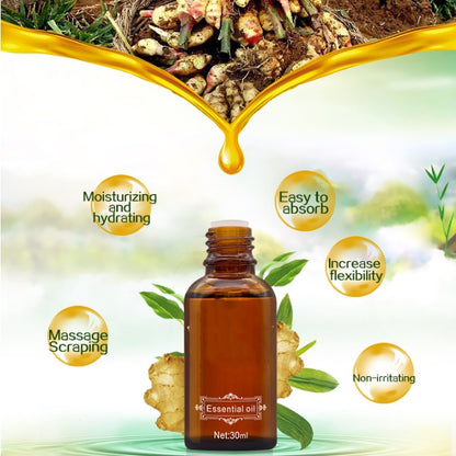 Chinese Ginger Oil Body Massage Ginger Essential Oil